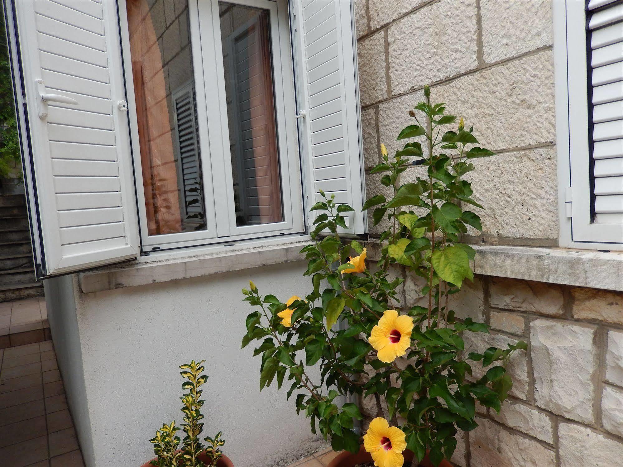 Amazing Sea View Apartments Ντουμπρόβνικ Εξωτερικό φωτογραφία