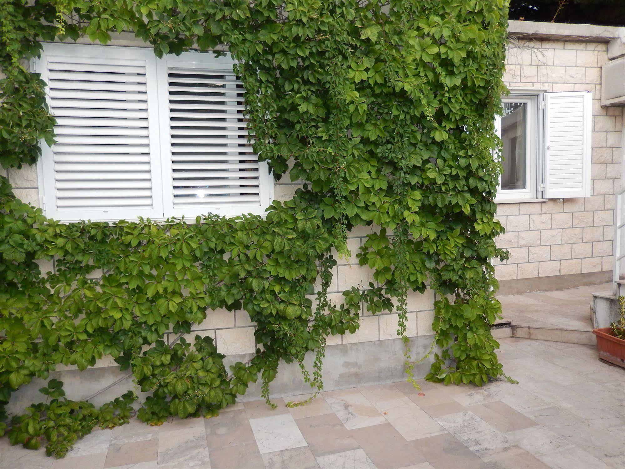 Amazing Sea View Apartments Ντουμπρόβνικ Εξωτερικό φωτογραφία